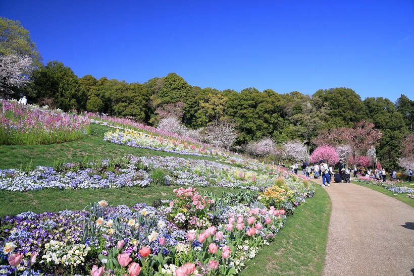 里山ガーデン大花壇2020